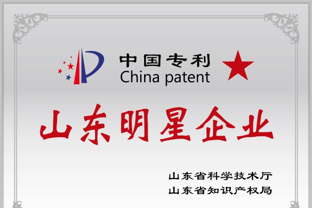 中國(guó)專利“山東明星企業(yè)”